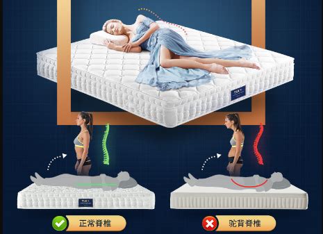 床垫种类哪种好？床垫如何挑选？床垫哪个牌子好？ - 知乎