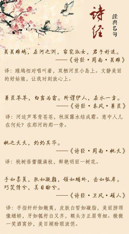 中国现实主义诗歌的源头诗经，诗经中的名篇名句-我爱育娃