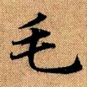 “毛” 的汉字解析 - 豆豆龙中文网