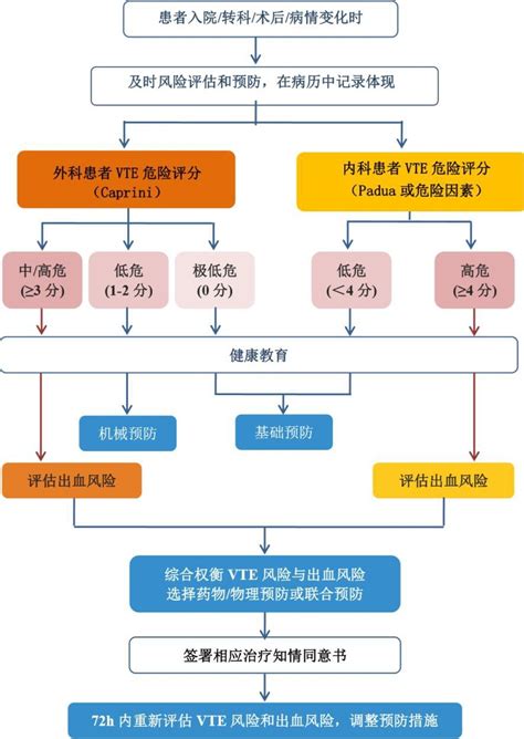 2021中国VTE防治大会-分会场三（VTE临床规范防治论坛II -肿瘤与妇产VTE预防管理）-直播间-呼吸界