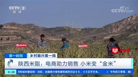 陕西米脂：电商平台助力农产品销售，小米变“金米”_腾讯视频