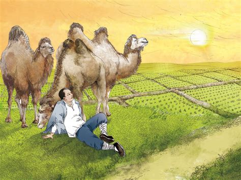 《骆驼祥子》|插画|商业插画|谷孝臣动画工作室_原创作品-站酷(ZCOOL)