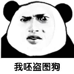 熊猫头魔性动图表情包24 - DIY斗图表情 - diydoutu.com