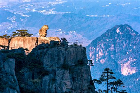 黄山之巅的国家二级保护动物“白鹇”（图）_黄山风光摄影网|黄山摄影旅游|黄山酒店预订|黄山摄影网|黄山摄影图片