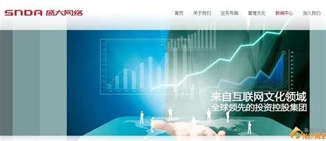 上海盛大网络发展有限公司的战略分析 - 豆丁网