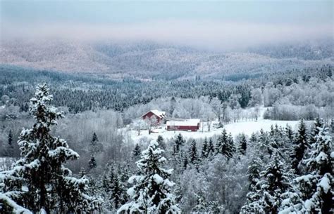 挪威的森林很美吗,挪威的森林风景图片,挪威的森林是什么样子_大山谷图库