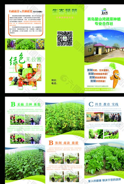 蔬菜合作社三折页图片平面广告素材免费下载(图片编号:5542793)-六图网