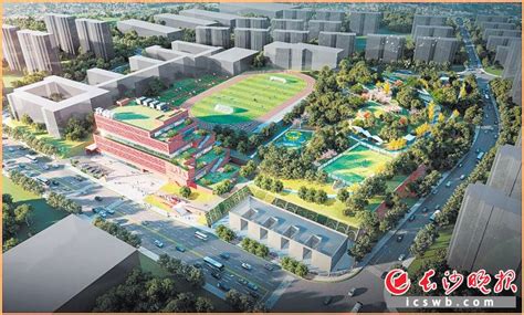 2023长沙天心区小学学区划分表汇总- 长沙本地宝