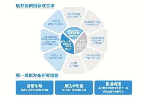建设青年发展型城区 宝山区推出8类15项举措_宝山动态_上海市宝山区人民政府