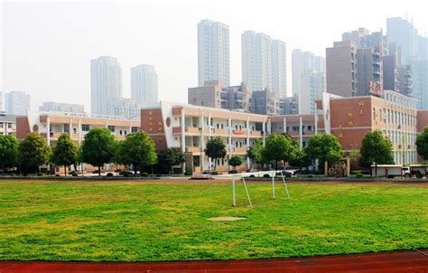 武汉这个区，今年新增小学学位近2000个！还要再建12所学校