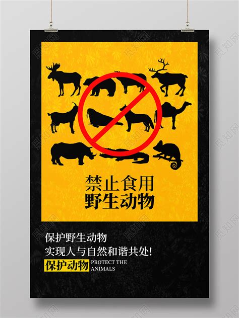 拒绝食用野味保护野生动物人与自然和谐共处海报图片下载 - 觅知网