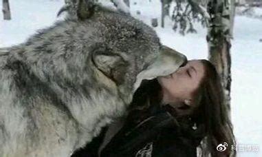 全球最大狼是北美灰狼？其实它有好几种，最大这种站立高度超姚明