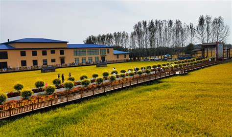 和平茶厂入选省级现代农业园区名单