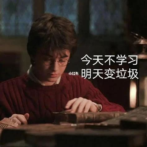 哈利&#183;波特表情包图片