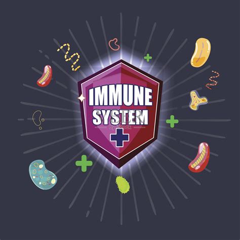 Nature Immunology：人体免疫系统是一个“早起的勤快人”_细胞