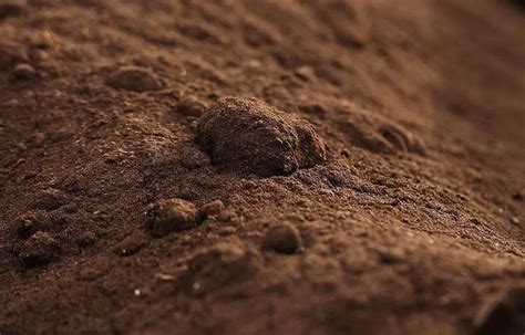 你知道土壤质地与土壤肥力的关系吗？_科普园地_土壤学会_山西省土壤肥料学会
