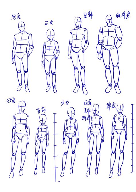 人体比例标准图图片