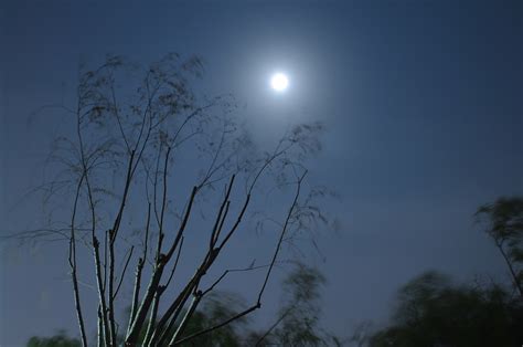【皓月当空，西湖赏月~摄影图片】风光摄影_fisherXeon_太平洋电脑网摄影部落