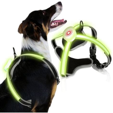 Hengda Harnais à LED pour chien Harnais pour chiot Harnais anti-fugue ...