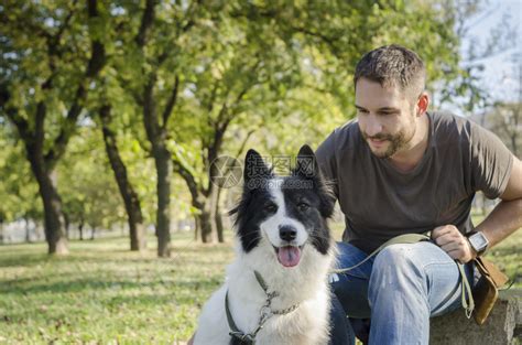 男人和他的狗在公园里玩耍高清图片下载-正版图片504846849-摄图网