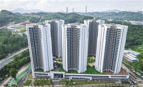 龙华樟坑径人才安居项目创造“三个全国第一”|保障性住房|高层建筑|深圳市_新浪新闻