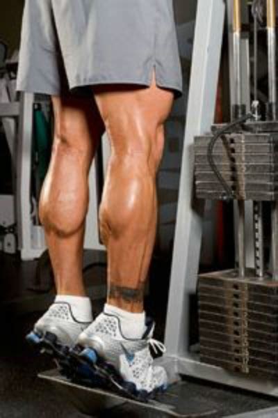 小腿型要变好看这些锻炼动作不可错过 - 肌肉网