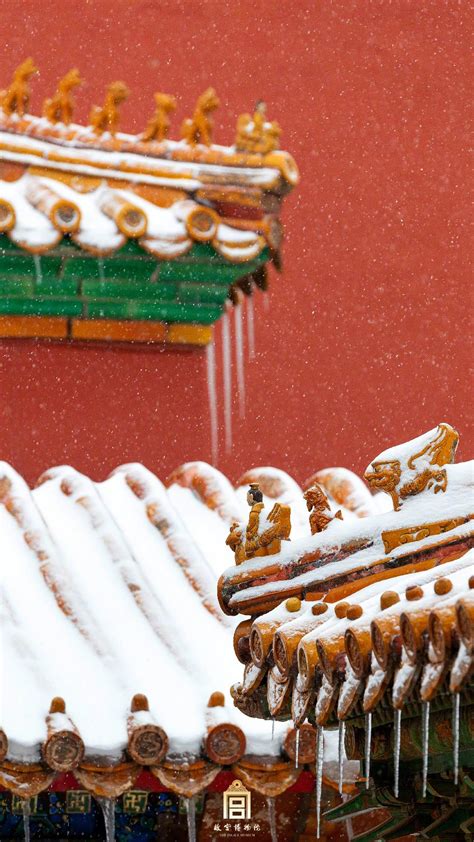看，雪中的故宫有多惊艳 - 世相 - 新湖南