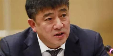 哈尔滨市副市长王沿民被调查，一年前曾被处分_手机新浪网