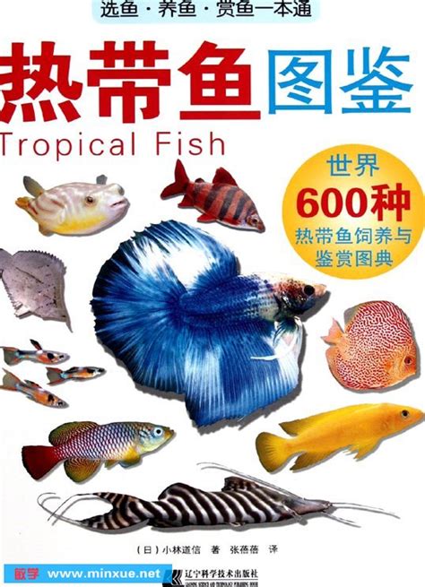 南美热带鱼种类,热带鱼的种类,热带鱼种类_大山谷图库