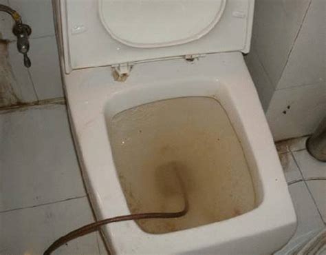 溢出的破厕所堵塞的马桶带有白屏的智能手机高清图片下载-正版图片506599468-摄图网