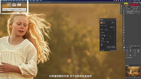 正版PS插件DRX MAX批量自动质感修图Ai一键磨皮瘦脸证件照软件Mac-淘宝网