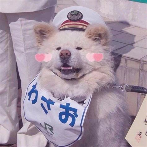 非主流单身狗头像