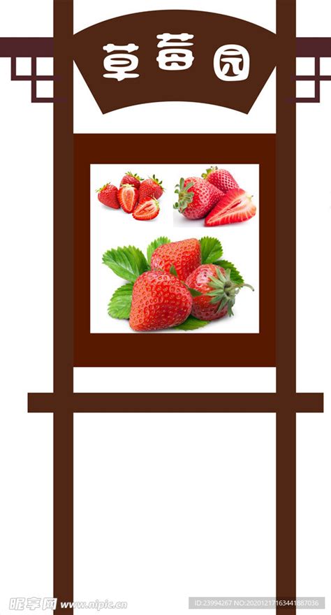 草莓园红字草莓熟了箭头生鲜水果展架图片下载 - 觅知网