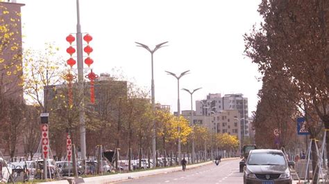 深圳宝安区加速推动多功能智能杆建设|5G|基础设施建设|深圳市_新浪新闻