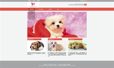 宠物网页设计_1UI设计-站酷ZCOOL