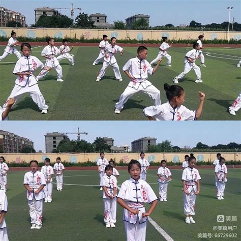 潍城这所学校勇夺2023年山东省中小学排球联赛冠军！_东方体育