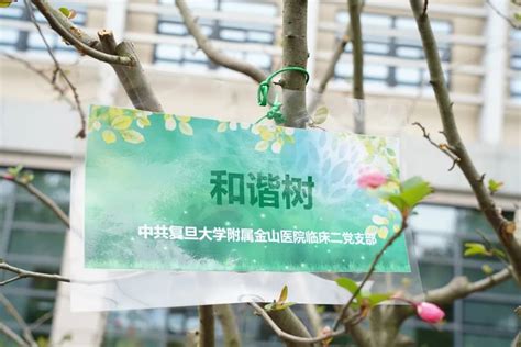 2021年申城色叶树种打卡地图来了！快与树叶来一场邂逅吧——上海热线教育频道