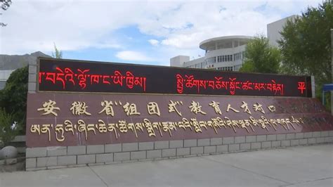 苗伟伦一行赴拉萨那曲高级中学慰问浙江援藏教师