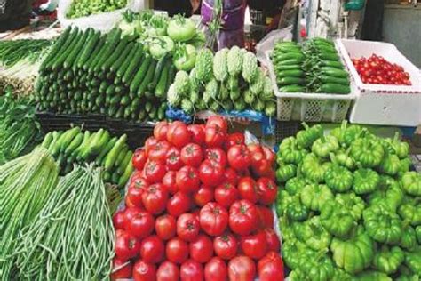 今日菜价|88种主要蔬菜批发价环比降5.33% 时令蔬菜陆续上架