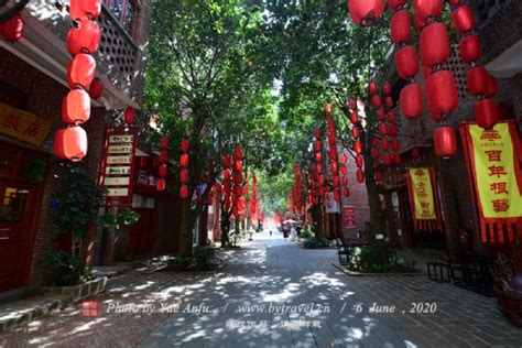 湛江春节假期文旅市场亮点纷呈_地市新闻_广东省文化和旅游厅