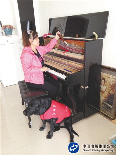 盲人调音师的淘宝创业故事，带导盲犬走遍全国，上门调试上万架钢琴-天下网商-赋能网商，成就网商