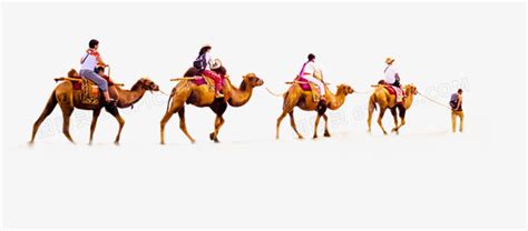 沙漠里的骆驼图片-沙漠里行走的骆驼素材-高清图片-摄影照片-寻图免费打包下载