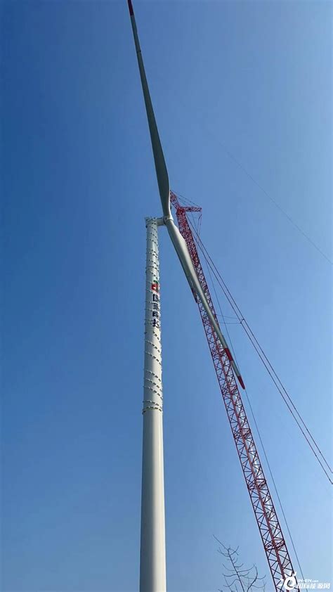 衡水公司利辛县中疃50兆瓦风电项目风机吊装工作全部完成-国际风力发电网