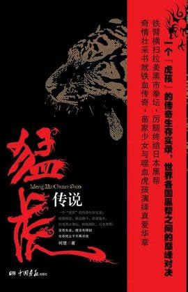 《半岛检察官：猛虎过江》小说在线阅读-起点中文网