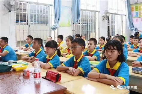 “双减”在滨城 | 塘沽三中心小学“235联动”课程体系让学生快乐成长