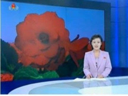 朝鲜中央电视台新闻联播呈现新形象(组图)|朝鲜|中央电视台|形象_新浪新闻