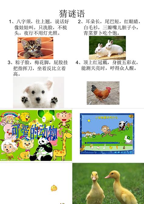 小学生可爱卡通动物作文集Word模板下载_熊猫办公