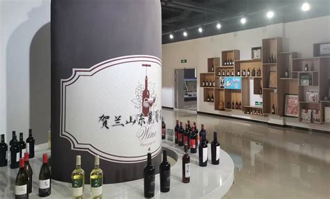 永宁县葡萄酒主题采风系列活动启动-宁夏新闻网