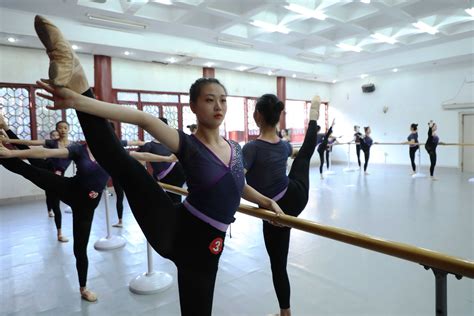 上海舞蹈学校来艾薇招生 - 对外交流 - 网站