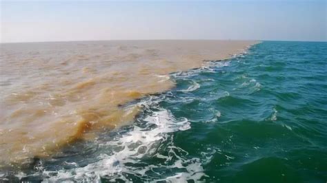 黄河入海口为什么出现“蓝黄交汇”，可遇不可求，网友：像双拼饭_腾讯视频